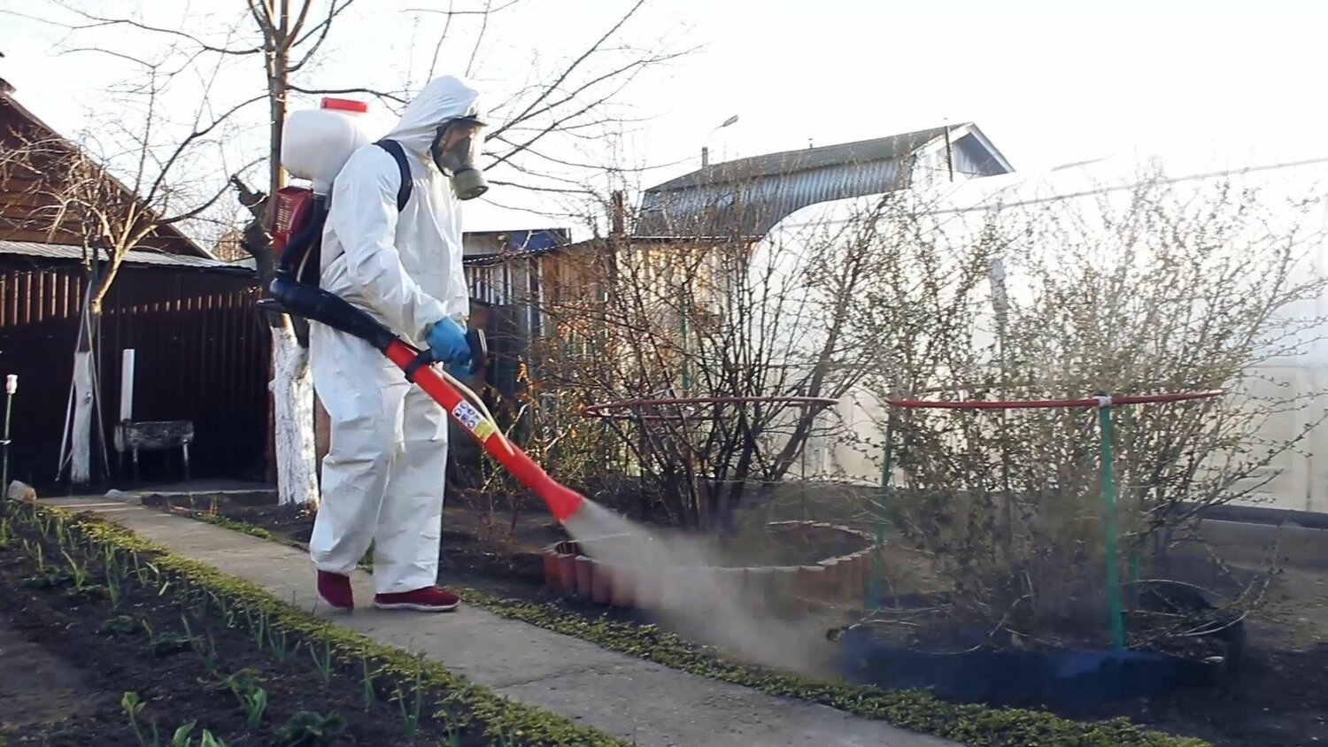 ФОТО Уничтожение муравьёв в поселке Московской области Летний Отдых