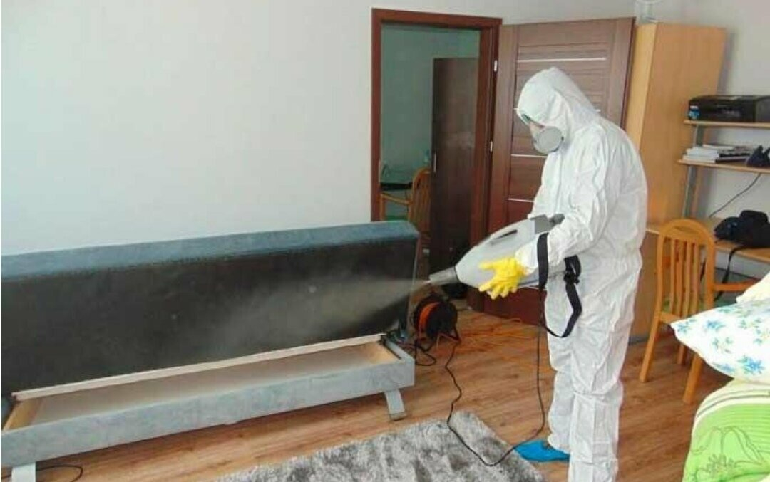 ФОТО Уничтожение блох в поселке Московской области Летний Отдых