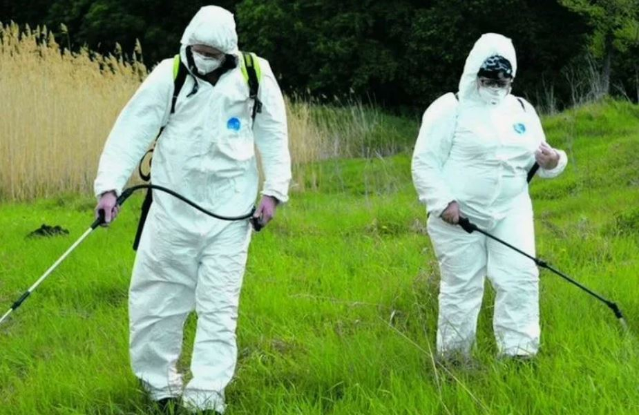 ФОТО Обработка от клещей в поселке Московской области Летний Отдых