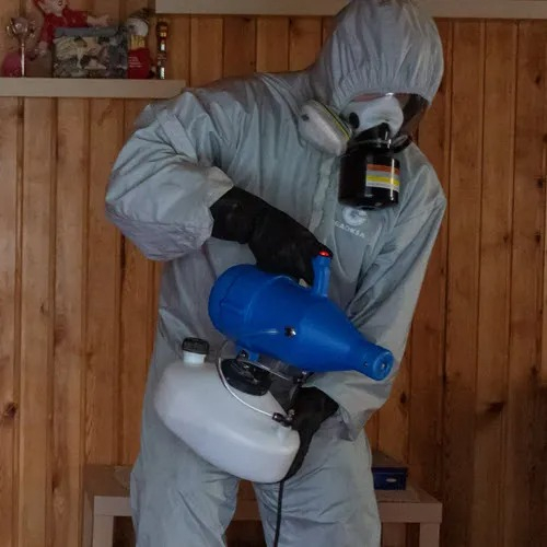 ФОТО Дезинфекция в поселке Московской области Летний Отдых