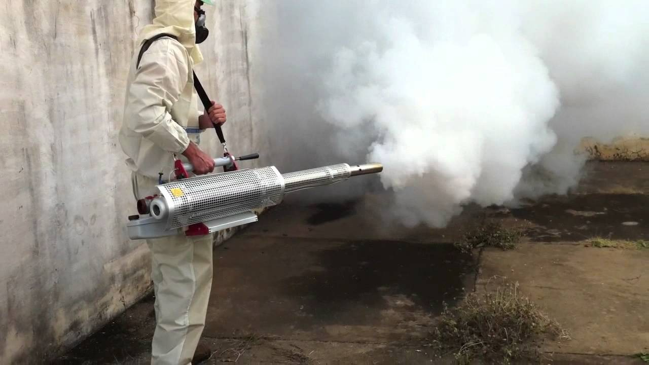 ФОТО Уничтожение мух в поселке Московской области Летний Отдых