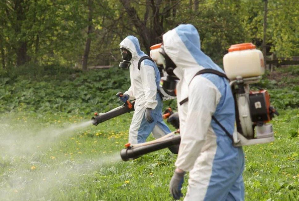 ФОТО Что такое дезинсекция в поселке Московской области Летний Отдых? | подробно