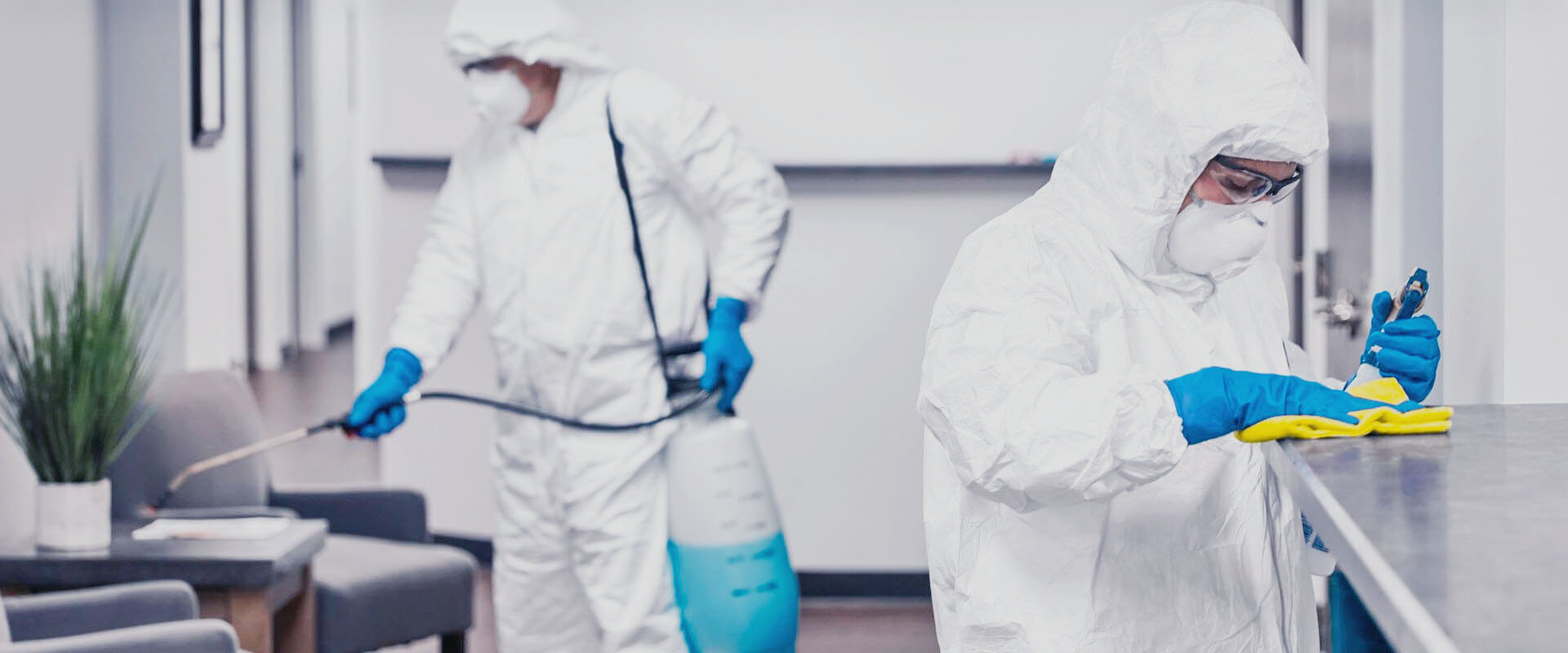 ФОТО В чем разница между дезинфекцией и дезинсекцией в поселке Московской области Летний Отдых? | подробно