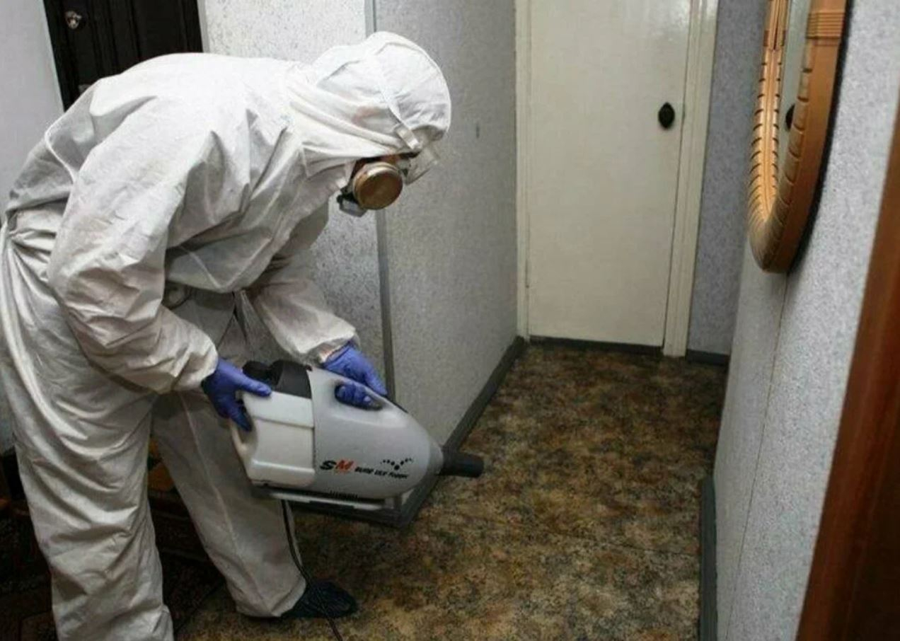 ФОТО Какие методы обработки для дезинсекции существуют в поселке Московской области Летний Отдых? | подробно