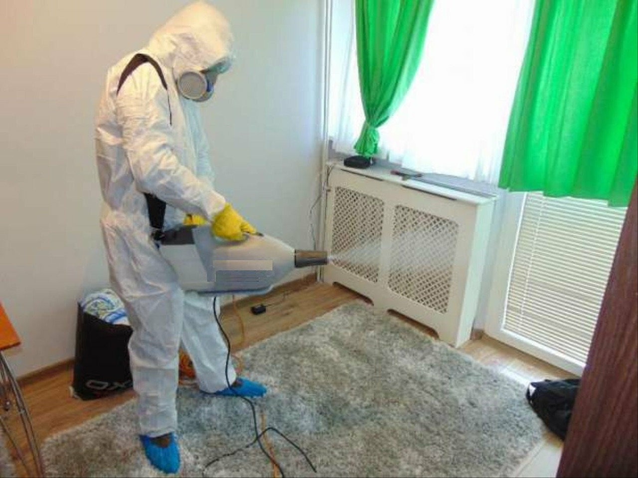 ФОТО Сколько времени занимает обработка при дезинсекции в поселке Московской области Летний Отдых? | подробно