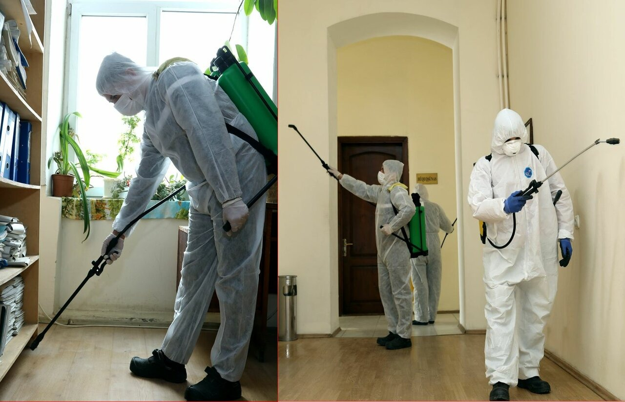 ФОТО Требуется ли лицензия для дезинсекции и дезинфекции в поселке Московской области Летний Отдых? | подробно