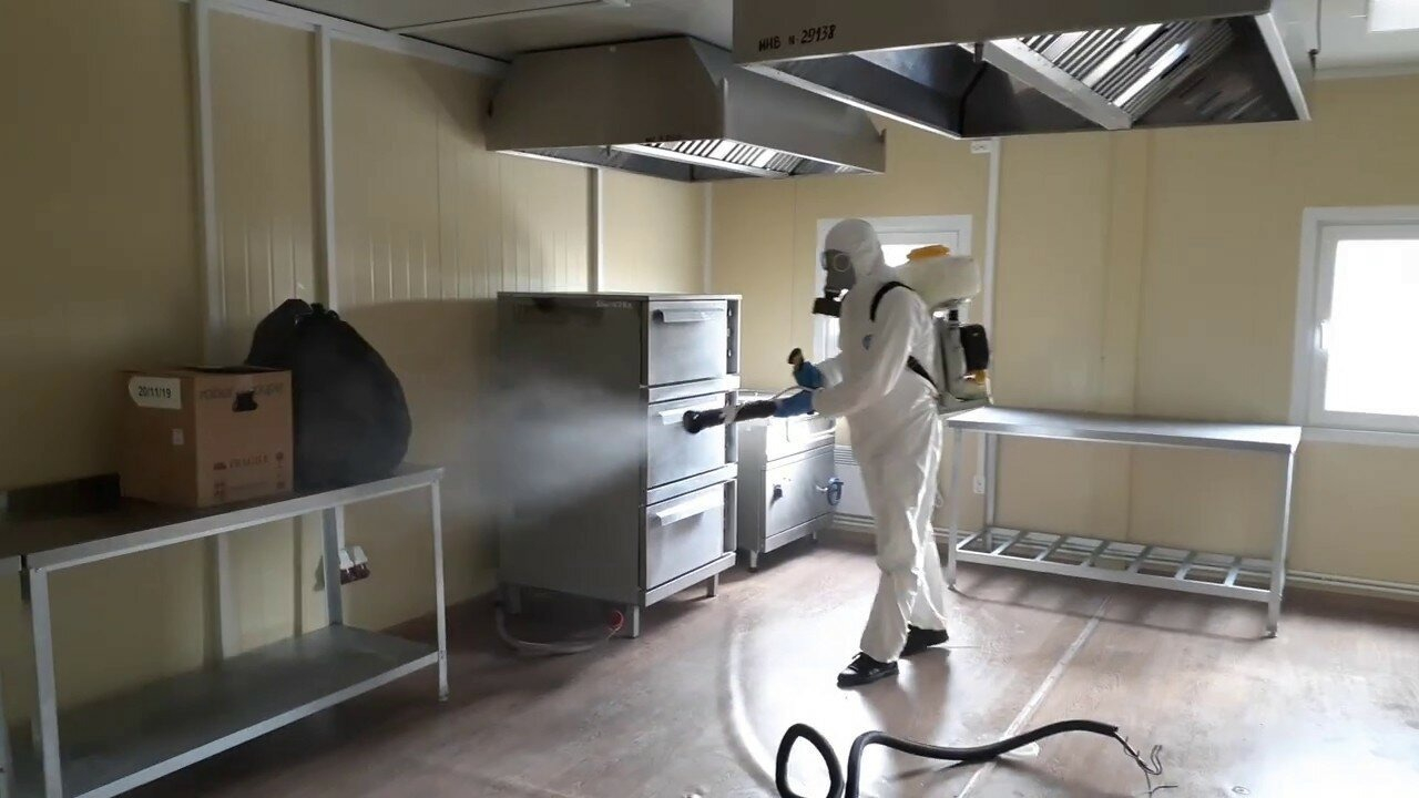 ФОТО Можно ли провести дезинсекцию самостоятельно и какие существуют риски в поселке Московской области Летний Отдых? | подробно