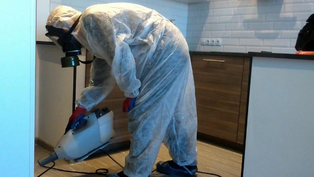 ФОТО Как подготовить домашних животных к обработке от насекомых в поселке Московской области Летний Отдых? | подробно