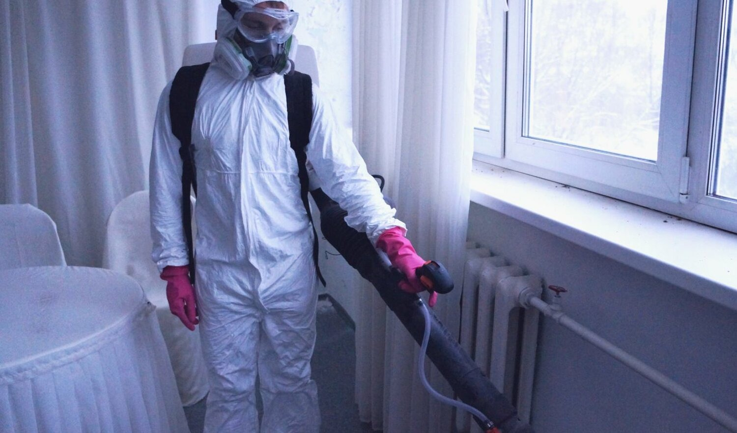 ФОТО Нужно ли выносить растения при дезинсекции в поселке Московской области Летний Отдых? | подробно