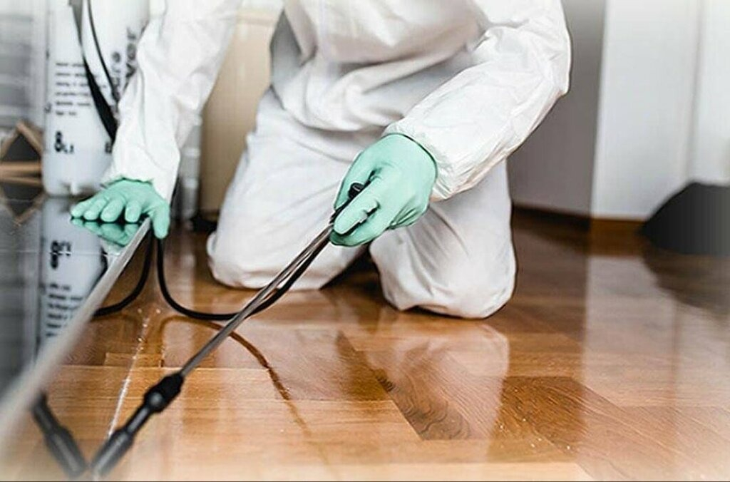 ФОТО Как подготовить вентиляцию при предстоящей дезинсекции в поселке Московской области Летний Отдых?