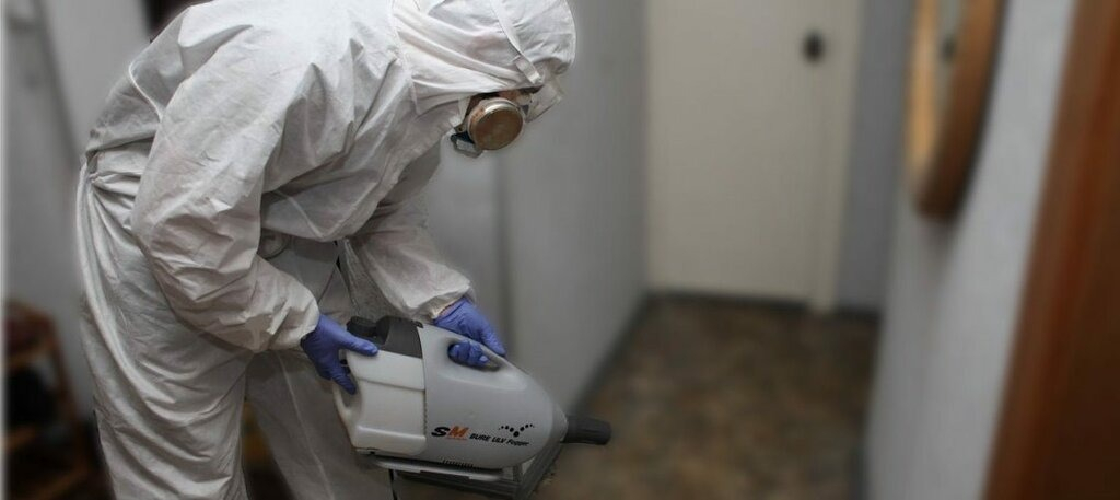 ФОТО Остаются ли следы после обработки квартиры от насекомых в поселке Московской области Летний Отдых? | подробно