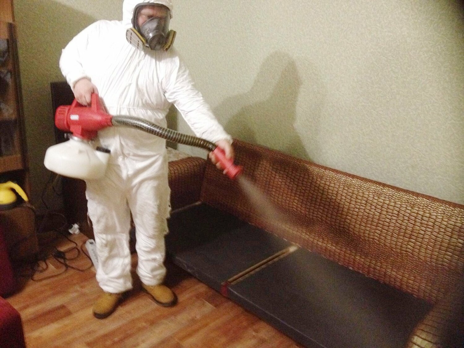 ФОТО Когда можно вернуться в помещение после дезинсекции в поселке Московской области Летний Отдых? | подробно