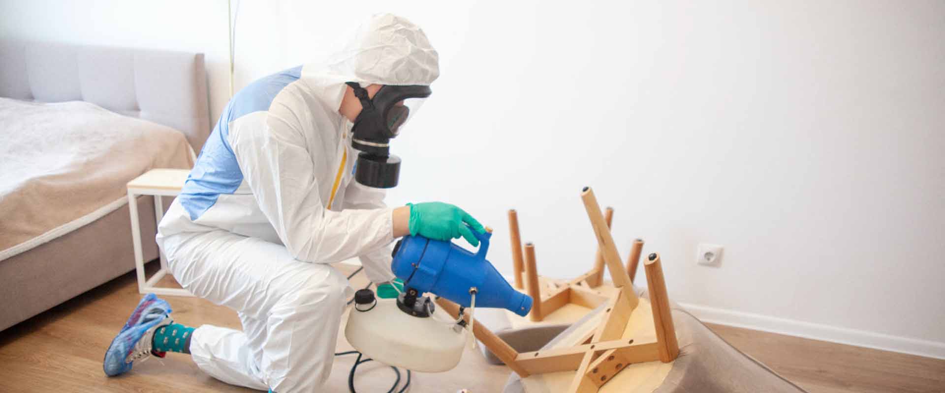 фото: Уничтожение постельных клопов с 1-го раза с гарантией за 30-60 мин. в поселке Московской области Летний Отдых без предоплаты